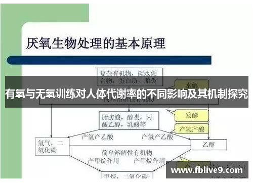有氧与无氧训练对人体代谢率的不同影响及其机制探究
